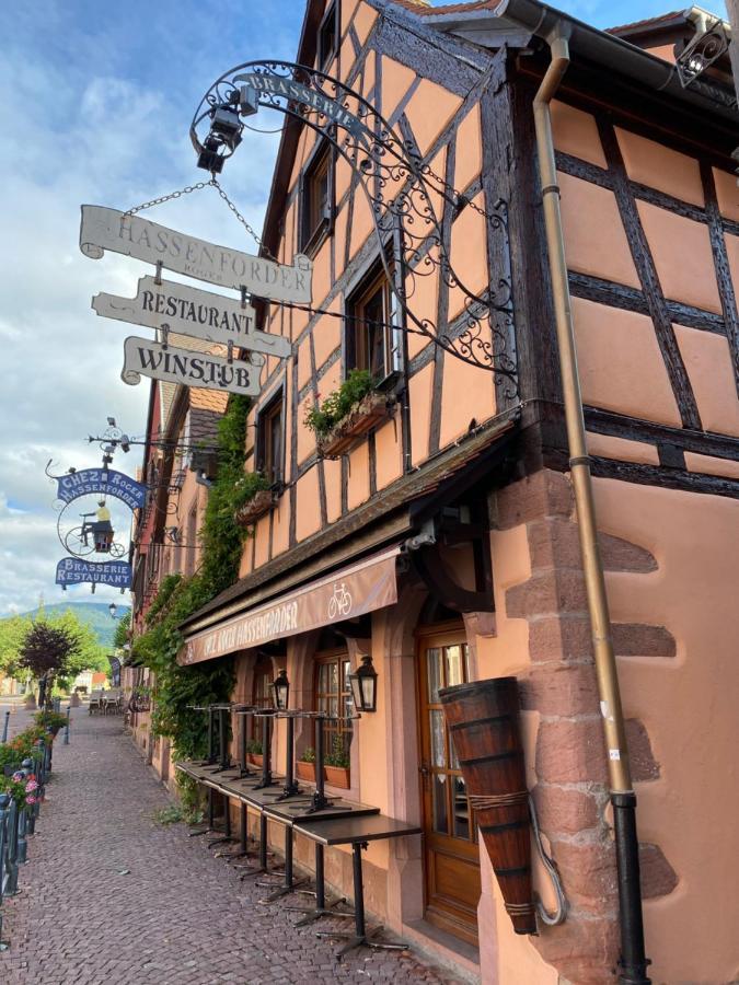 Appartement Le Cerf Kaysersberg-Vignoble Exteriör bild
